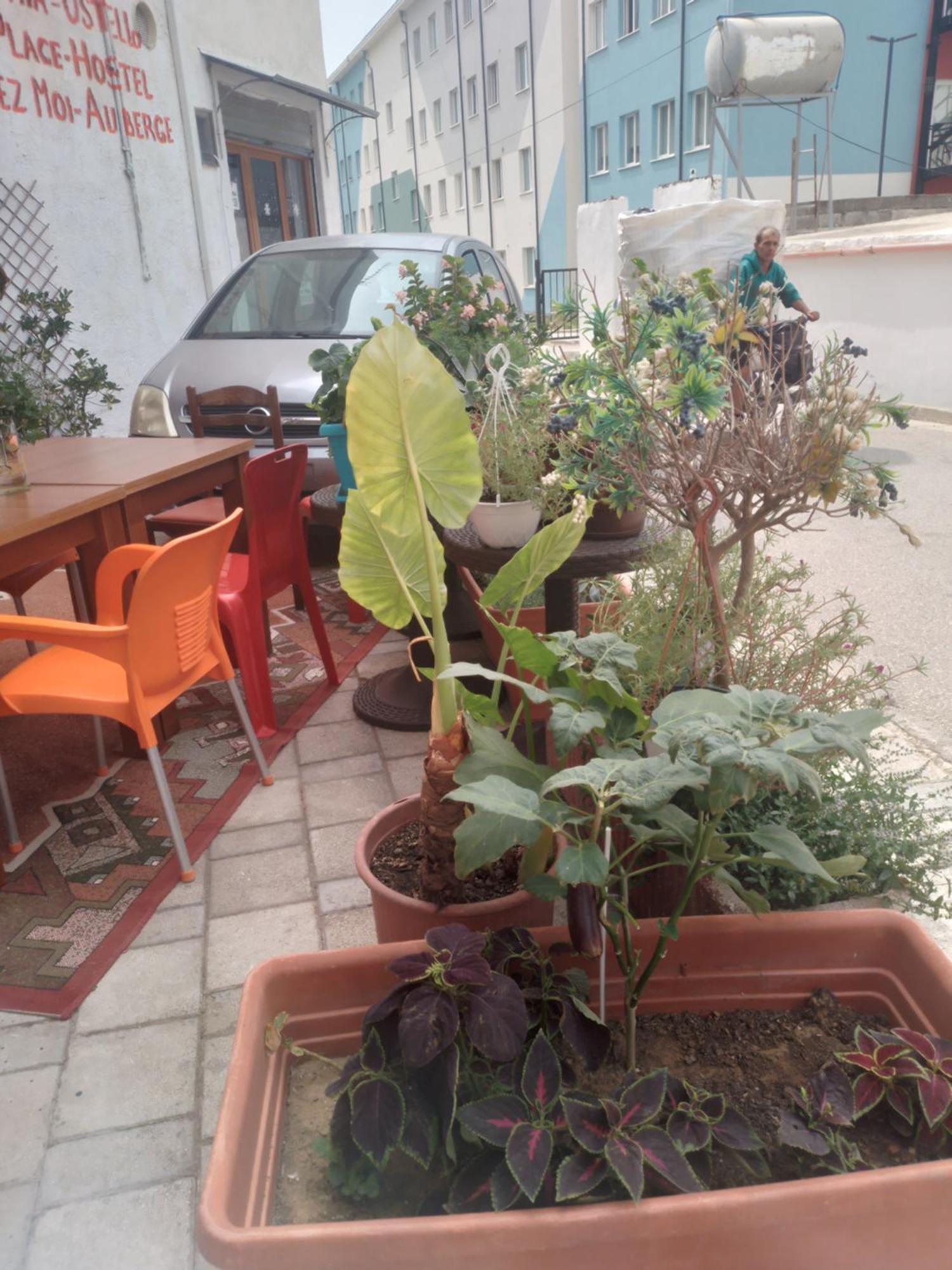 Casa Mia Hostel Vlore Exterior photo