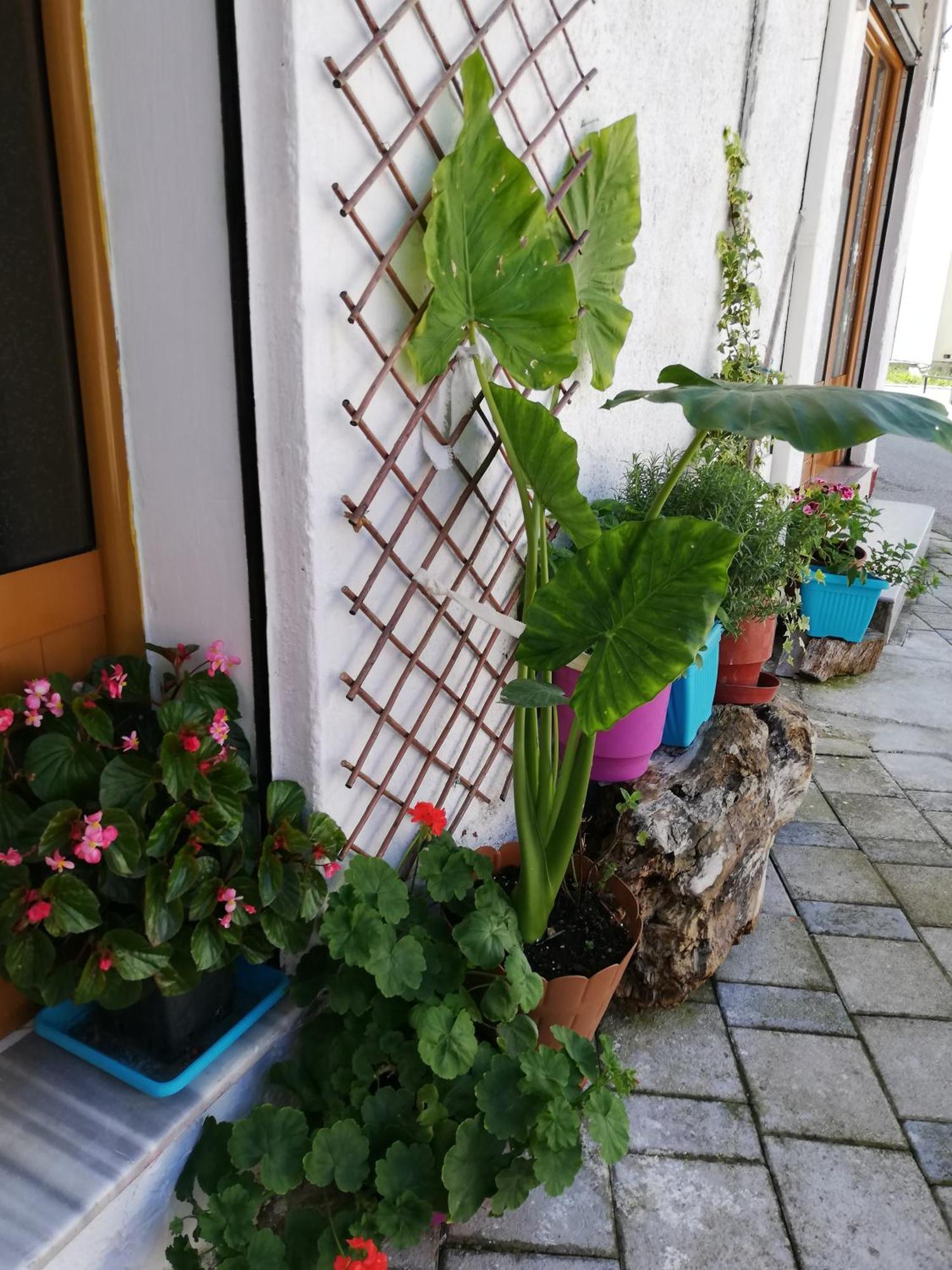 Casa Mia Hostel Vlore Exterior photo